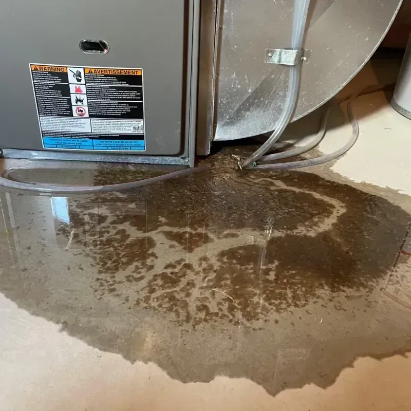 Appliance Leak Cleanup in Carlisle, AR